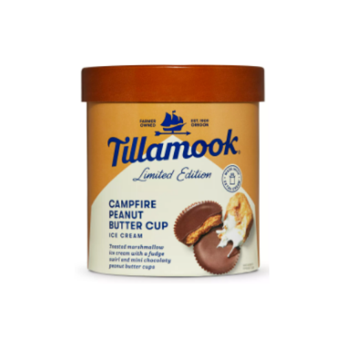 Tillamook Campfire Peanut Butter Ice Cream