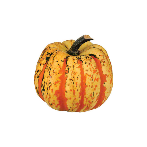 Carnival Squash