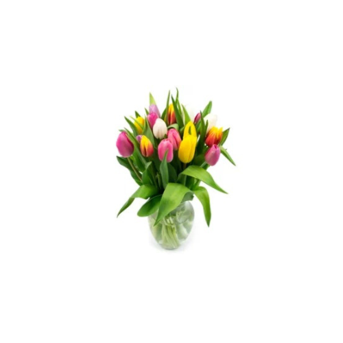 Member's Mark Tulip Bouquet & Vase, Rainbow Colors, 20 stems