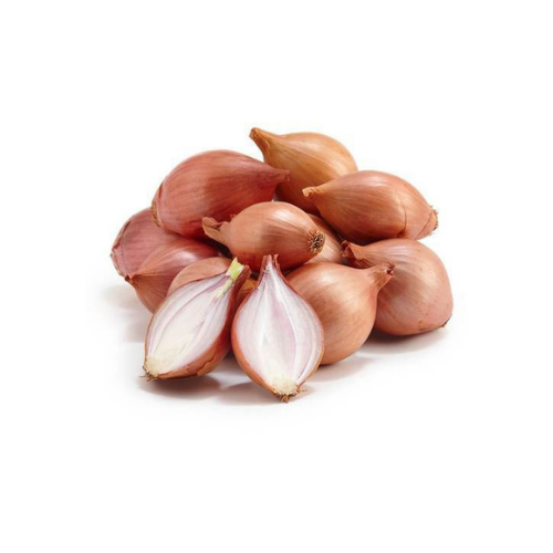 Shallot