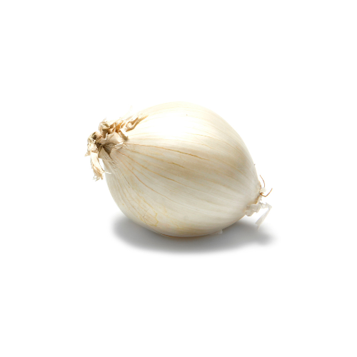 White Onion - Ea.