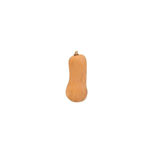 Honeynut Squash - EA