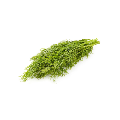 Fresh Baby Dill - Bunch