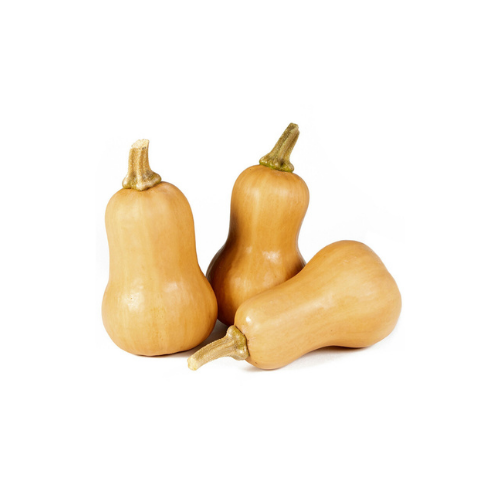 MINI Butternut Squash - EA