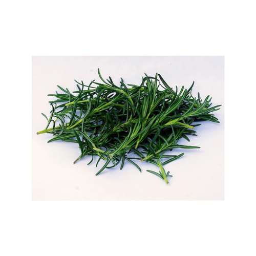 Rosemary - .5oz