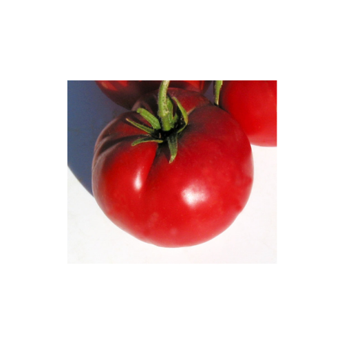 Tennessee Tomato - Ea.