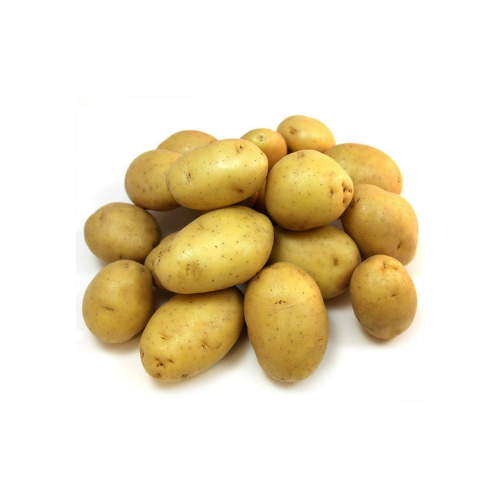 Yukon Gold Potatoes - 10lb Bag