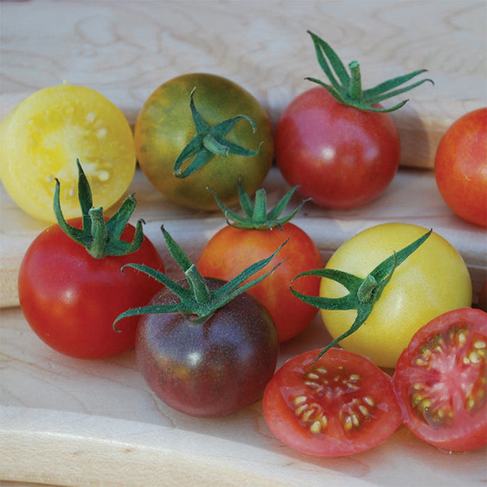 Heirloom Cherry Tomatoes -10oz