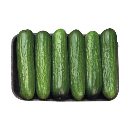 Mini Cucumbers - Pk of 6