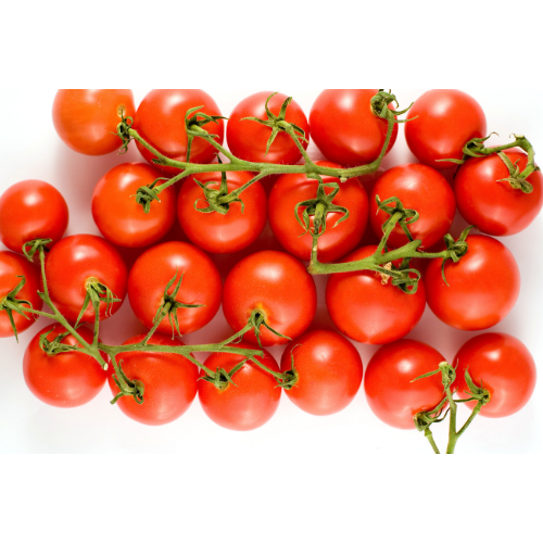 Campari Tomatoes -16 oz.