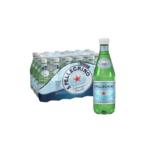 San Pellegrino Sparkling Natural Mineral Water, 16.9 oz., 24 ct. - BUSINESS ONLY