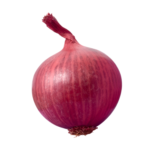 Red Onion, ea.