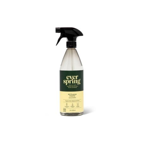 EverSpring Antibacterial Disinfecting Spray - Lemon & Mint - 28 fl oz