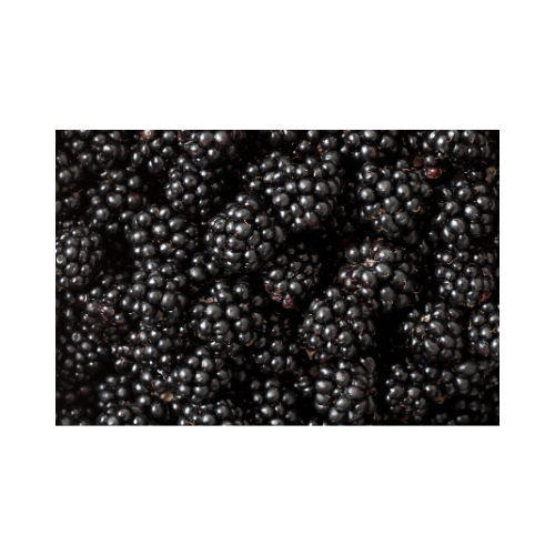 Blackberries - 6oz