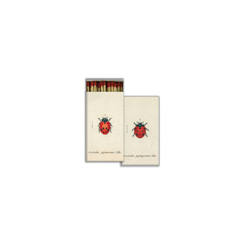 Hester & Cook Red Ladybug Matches - 50ct