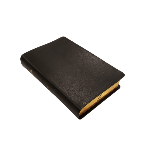 J.N. Darby Extra-large Family Bible (No. 35), Semi-Yapp Binding