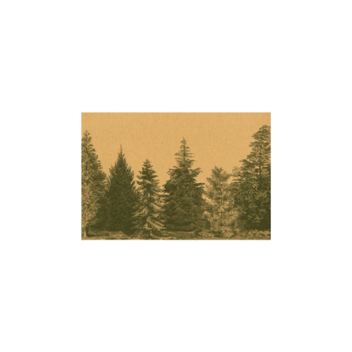 Hester & Cook "Evergreen on Kraft" Placemats - 24 Sheets