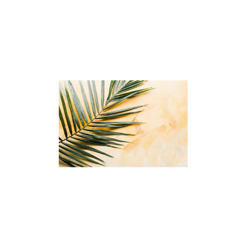 Zela Paper Placemats 25 ct - Palm