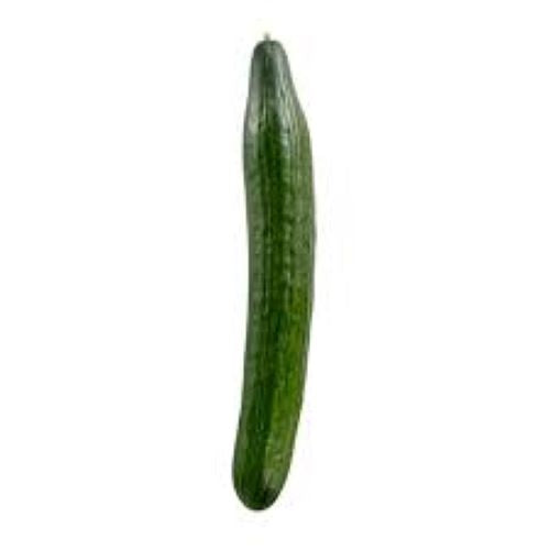 English Cucumber - Ea.