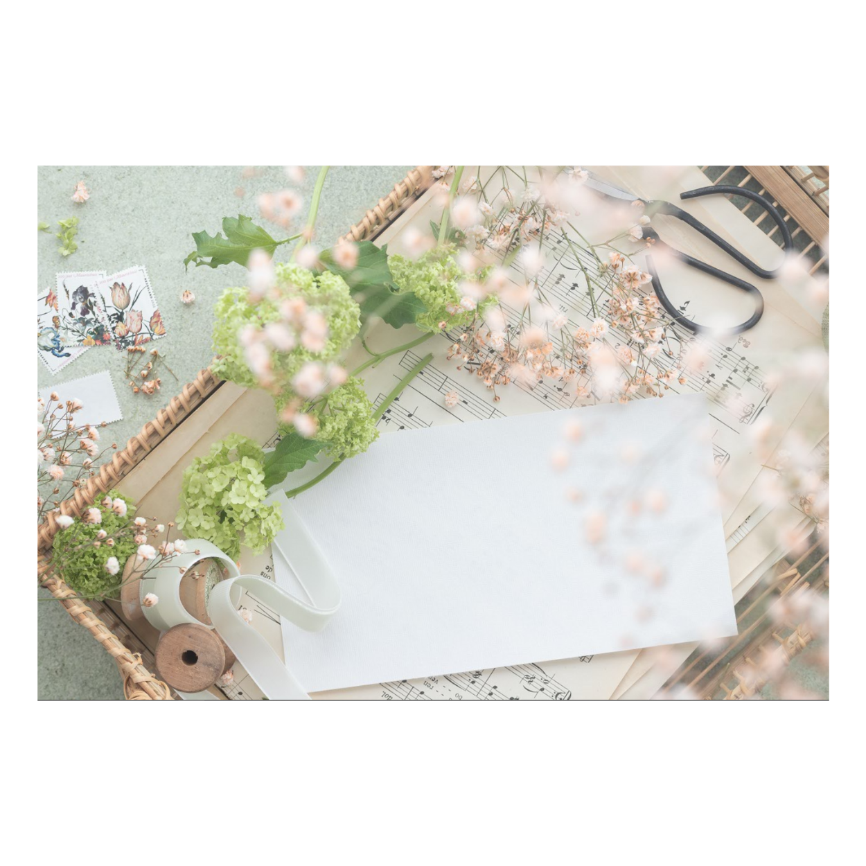 Zela Paper Placemats 25 ct. - Spring Song