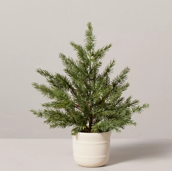 Hearth & Hand Mini Spruce Tree