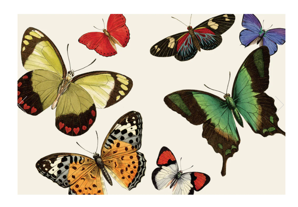 Hester & Cook "Butterflies" Placemat - 24 Sheets