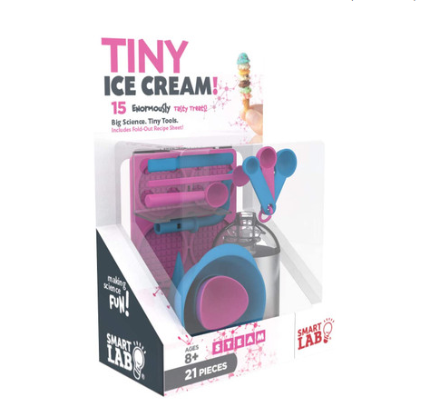 Tiny Ice Cream Kit